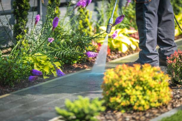 Trusted North Canton, OH Pressure Washing Services Experts